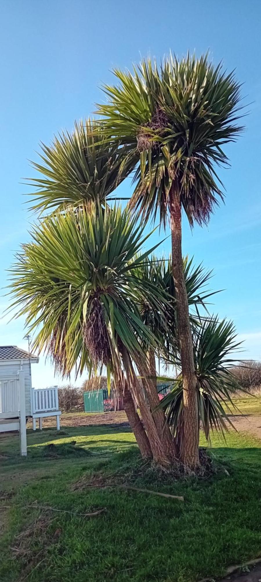 Hotel Roseanna Retreat Barmston Beach Parkdean Holiday Park Exterior foto